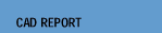 CADreport